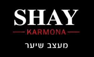 מעצב שיער - SHAY KARMONA