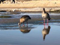 הפגנת חוץ: יוצאים להפגין נגד הזיהום מול בניין מועצת באר טוביה