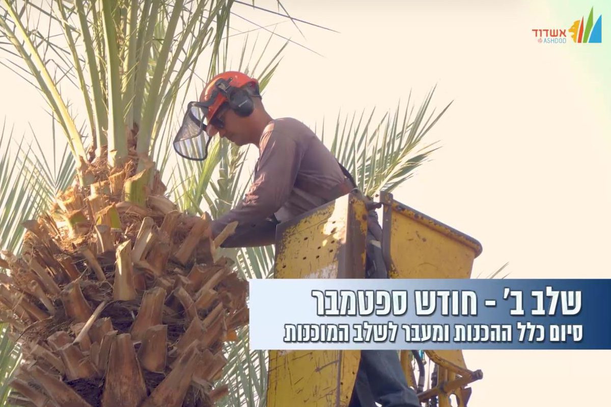 עיריית אשדוד – מתכוננים לחורף