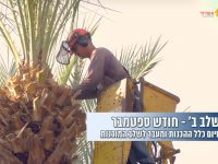 עיריית אשדוד – מתכוננים לחורף