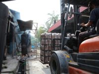 Forklift operator is transferring oyster mushroom growth packages (mixture of sawdust, rice bran fertilizer and calcium carbonate). These packages are lined up and stacked before sent inside steam room for eight hours sterilization in Malaysia mushroom farm.