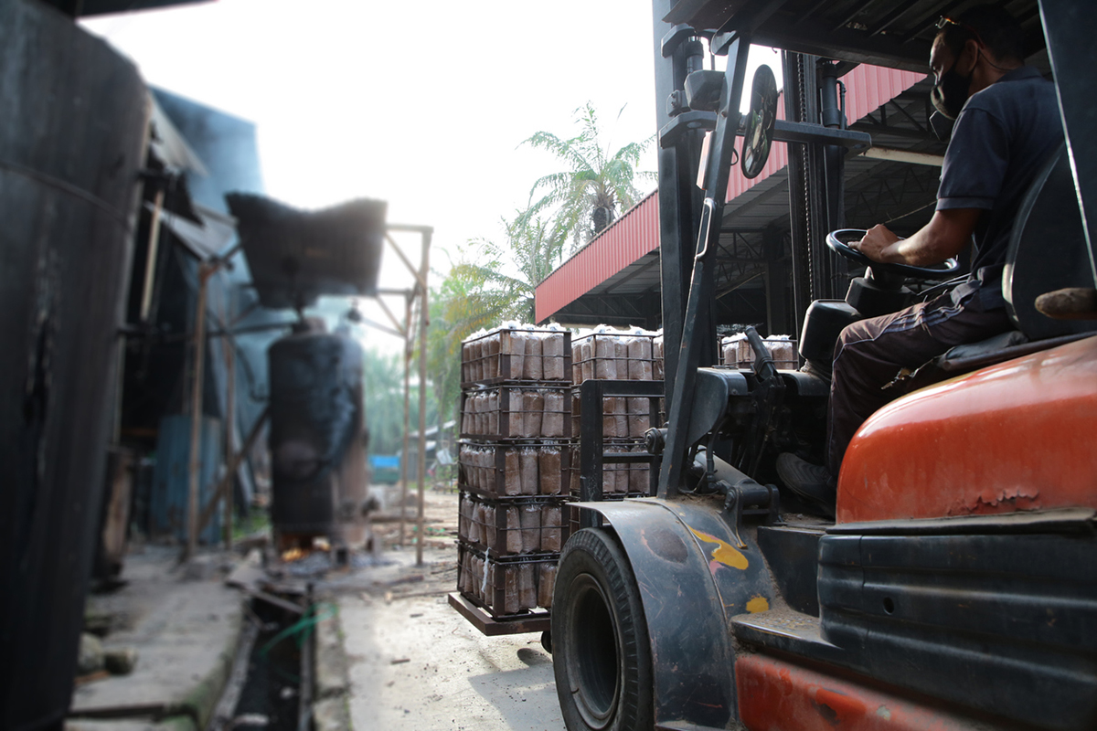 Forklift operator is transferring oyster mushroom growth packages (mixture of sawdust, rice bran fertilizer and calcium carbonate). These packages are lined up and stacked before sent inside steam room for eight hours sterilization in Malaysia mushroom farm.