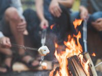 Close-up shot of a campfire with four metal skewers roasting marshmallows on a summer evening.