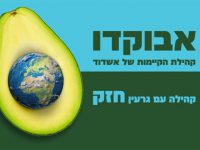 פארק פעיל – מיזם ייחודי לחיזוק ילדי הרובע