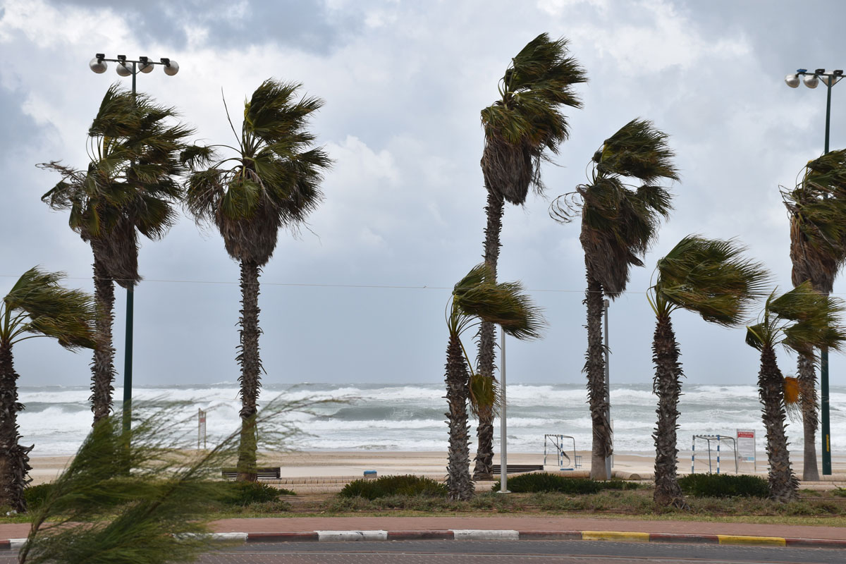 נערכים לשבוע חורפי: גשמים, רוחות, וטמפרטורות נמוכות במיוחד.